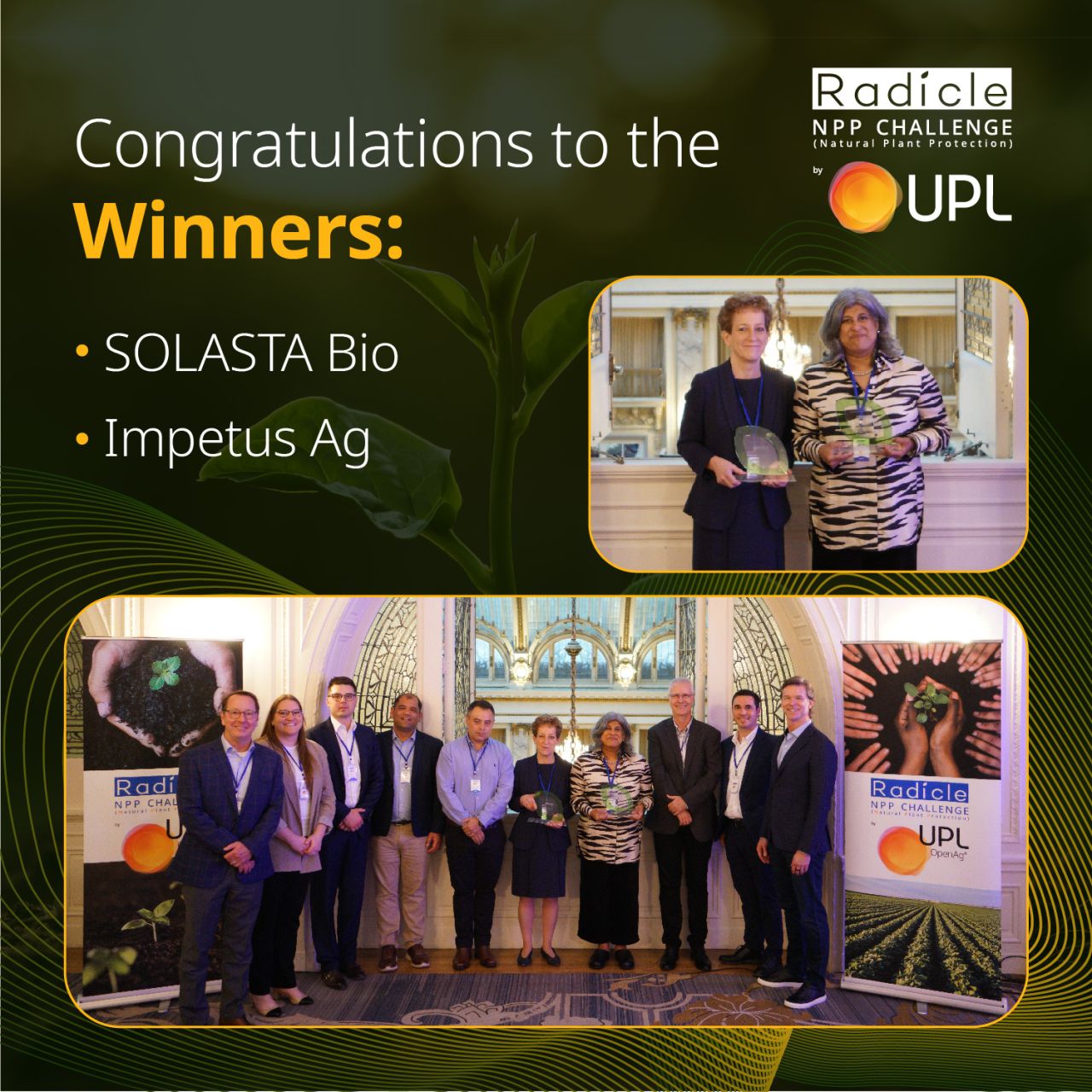 Solasta Bio wins the Radicle NPP Challenge