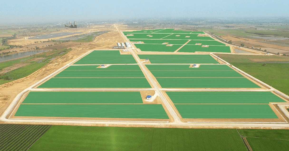 Investment News: Arborea